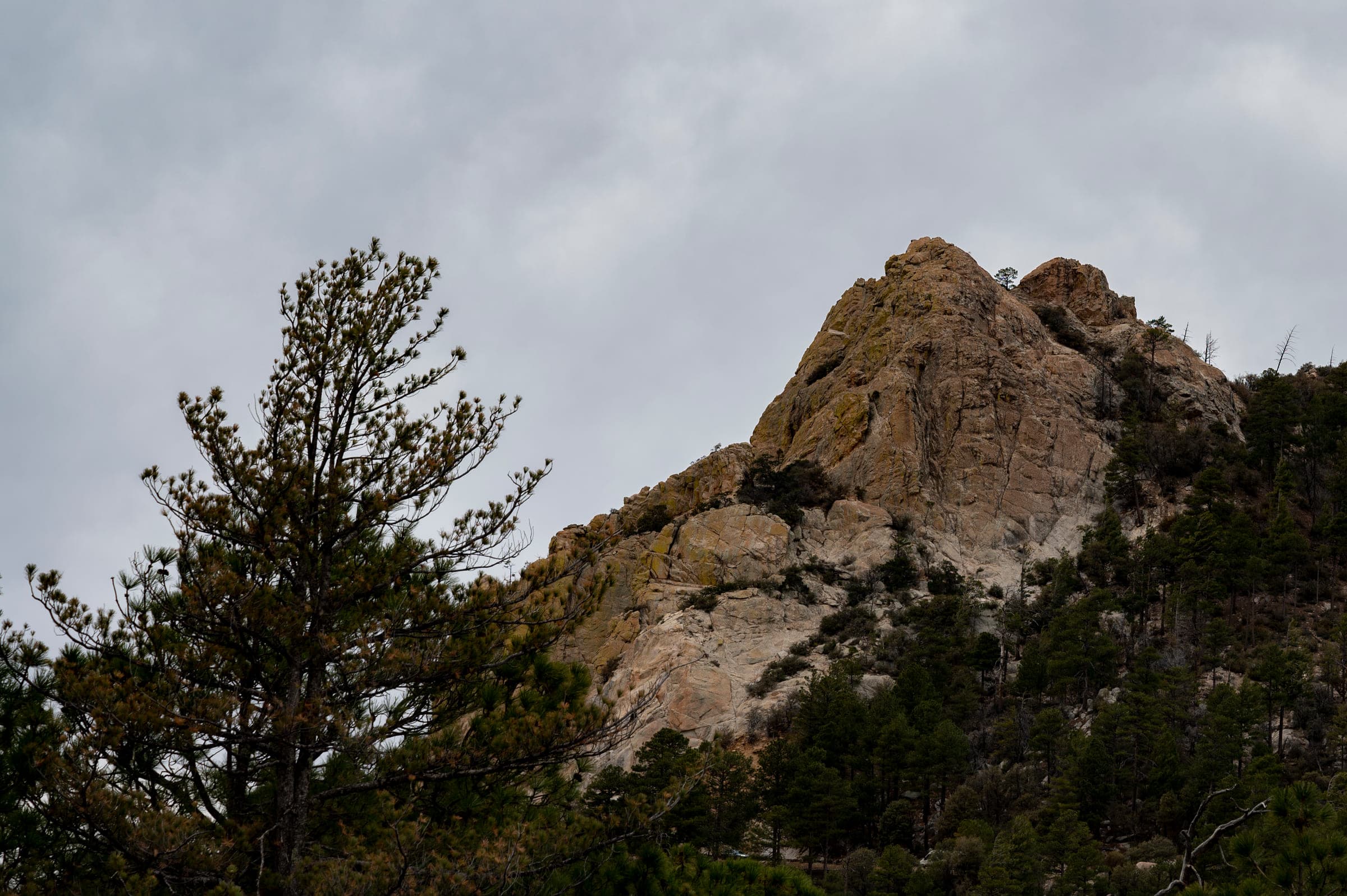 Arizona Mountains, photo 3
